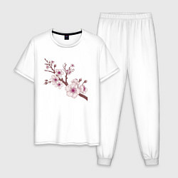 Пижама хлопковая мужская Ветка сакуры - весна - Япония, цвет: белый