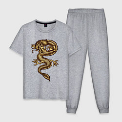 Пижама хлопковая мужская Japan gold fly dragon, цвет: меланж