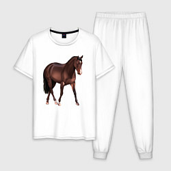 Мужская пижама Австралийская пастушья лошадь