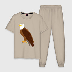 Мужская пижама Красивый орёл