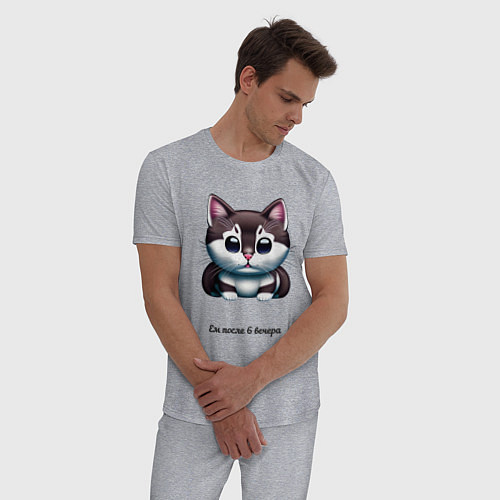 Мужская пижама Толстый котик ест после 6 / Меланж – фото 3