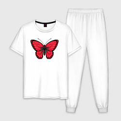 Мужская пижама Албания бабочка