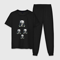 Пижама хлопковая мужская Маленькие панды, цвет: черный