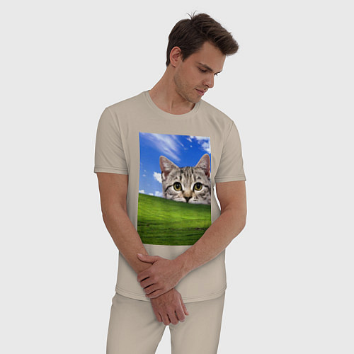 Мужская пижама Кот и безмятежность в Windows XP / Миндальный – фото 3