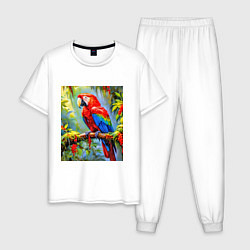 Мужская пижама Яркий красный ара