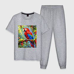 Мужская пижама Яркий красный ара