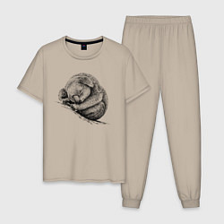 Пижама хлопковая мужская Коала спит, цвет: миндальный