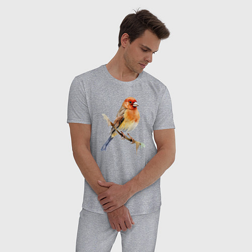 Мужская пижама Оранжевая птица на ветке / Меланж – фото 3