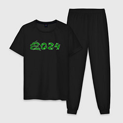 Пижама хлопковая мужская Зеленый дракон 2024 деревянный, цвет: черный