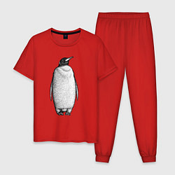 Мужская пижама Пингвин стоит анфас