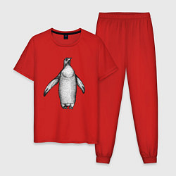 Пижама хлопковая мужская Пингвин штрихами, цвет: красный