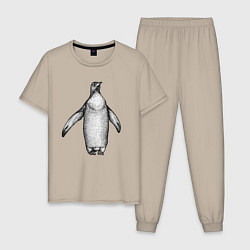 Мужская пижама Пингвин штрихами