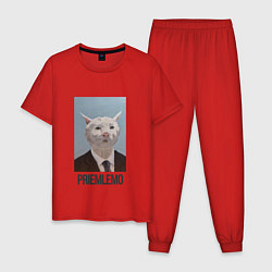 Мужская пижама Приемлемо - кот мем в живописи