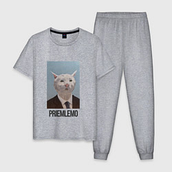 Пижама хлопковая мужская Приемлемо - кот мем в живописи, цвет: меланж