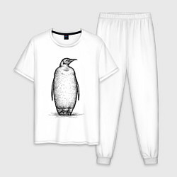 Пижама хлопковая мужская Пингвин стоит, цвет: белый