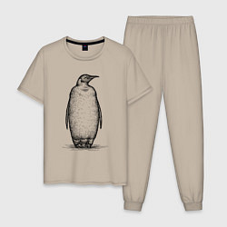 Мужская пижама Пингвин стоит