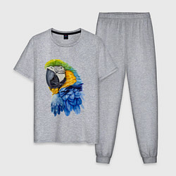 Мужская пижама Сине-золотой попугай ара