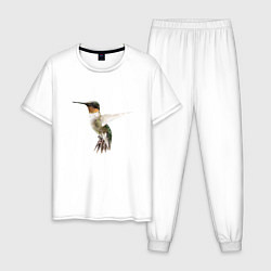 Мужская пижама Рубиновогорлый колибри