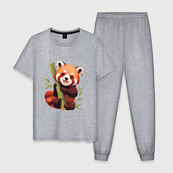 Пижама хлопковая мужская The Red Panda, цвет: меланж