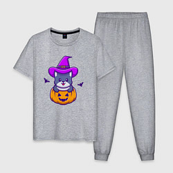 Пижама хлопковая мужская Kitty halloween, цвет: меланж