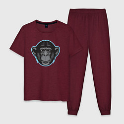 Мужская пижама Funny monkey