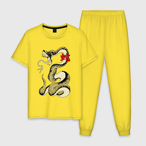 Мужская пижама Золотой удав / Желтый – фото 1