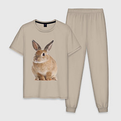 Пижама хлопковая мужская Бежевый кролик, цвет: миндальный