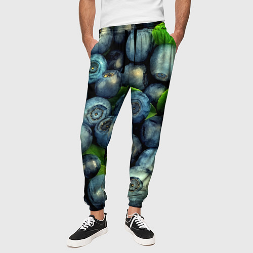 Мужские брюки Голубика / 3D-принт – фото 3