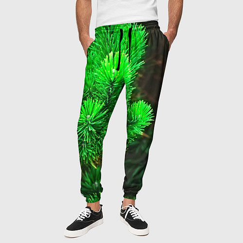 Мужские брюки Зелёная ель / 3D-принт – фото 3