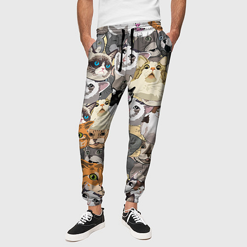 Мужские брюки ALL CATS MEMES / 3D-принт – фото 3