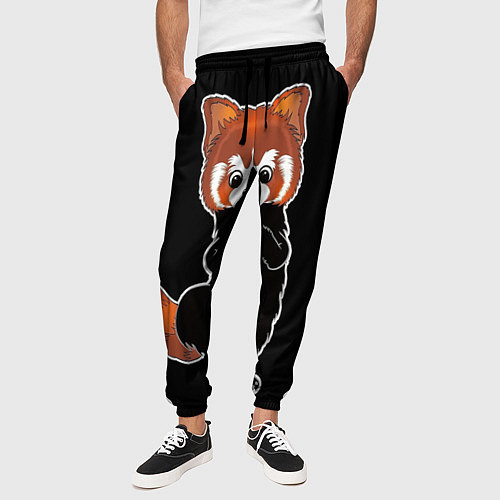 Мужские брюки Енот / 3D-принт – фото 3