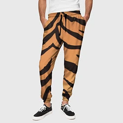 Брюки на резинке мужские Тигриный камуфляж, цвет: 3D-принт — фото 2