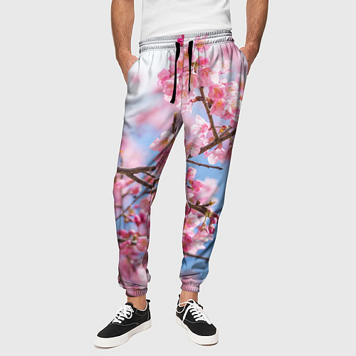 Мужские брюки Ветки Сакуры / 3D-принт – фото 3