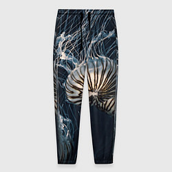 Мужские брюки Рисунок медуза