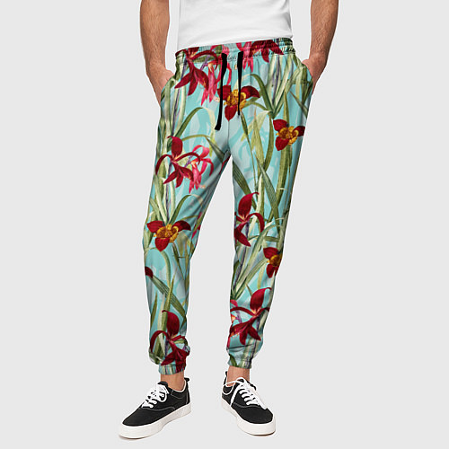 Мужские брюки Цветы Красные Тигридии / 3D-принт – фото 3