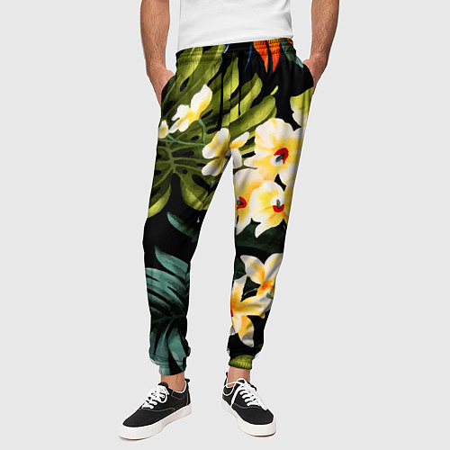 Мужские брюки Vanguard floral composition Summer / 3D-принт – фото 3