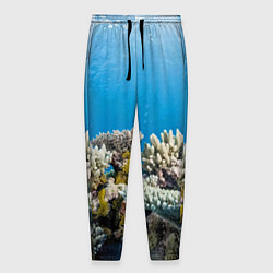 Мужские брюки Кораллы в тропических водах индийского океана