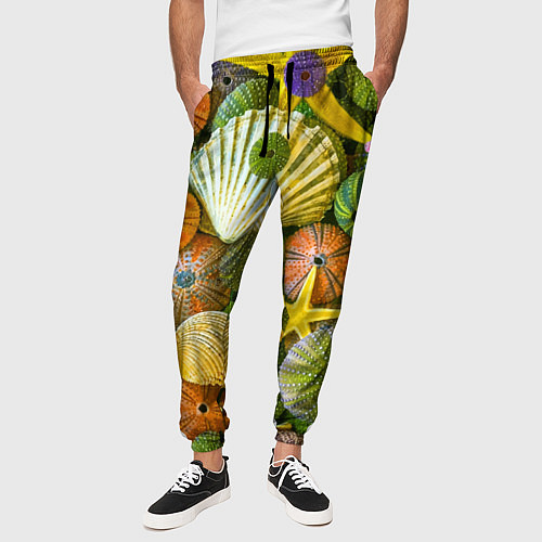 Мужские брюки Композиция из морских звёзд и ракушек / 3D-принт – фото 3