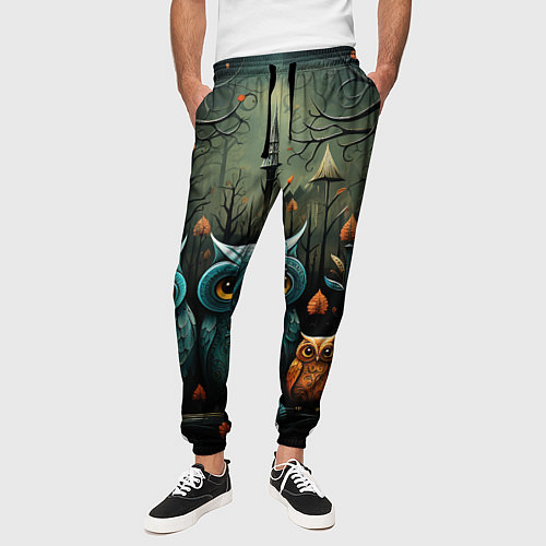 Мужские брюки Совы в стиле Folk Art / 3D-принт – фото 3