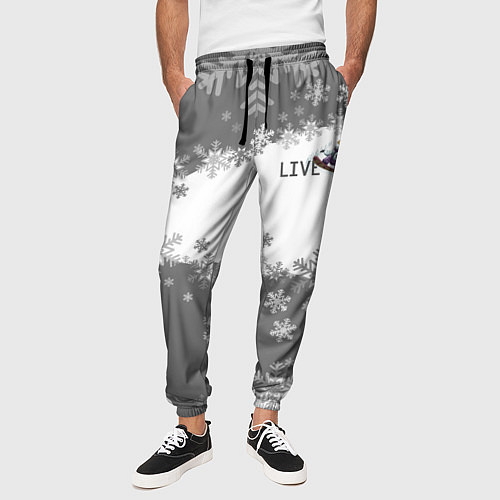 Мужские брюки Сноуборд серый / 3D-принт – фото 3
