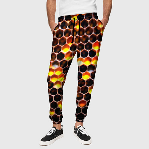 Мужские брюки Медовые пчелиные соты / 3D-принт – фото 3