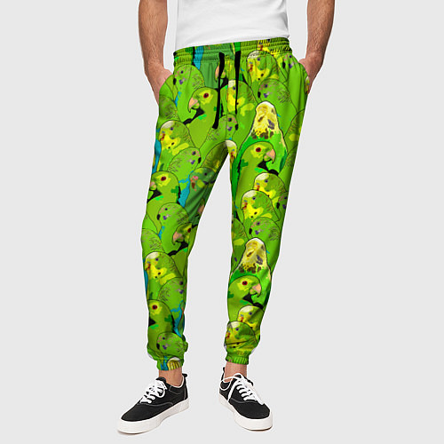 Мужские брюки Зеленые волнистые попугайчики / 3D-принт – фото 3