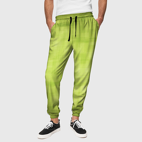 Мужские брюки Green and square / 3D-принт – фото 3
