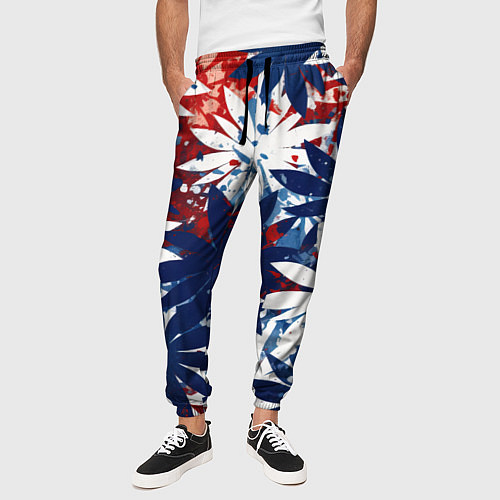 Мужские брюки Цветы в цветах флага РФ / 3D-принт – фото 3