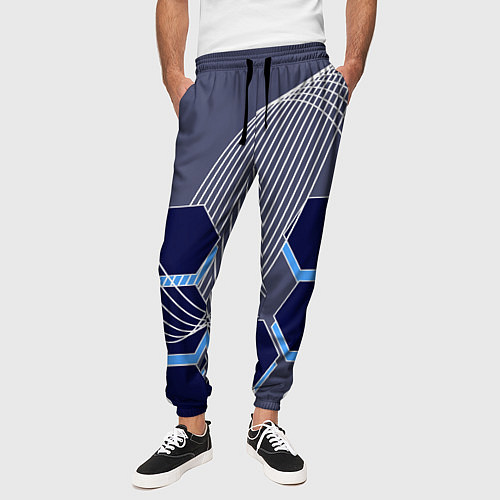 Мужские брюки Электромагнитные шестиугольники / 3D-принт – фото 3