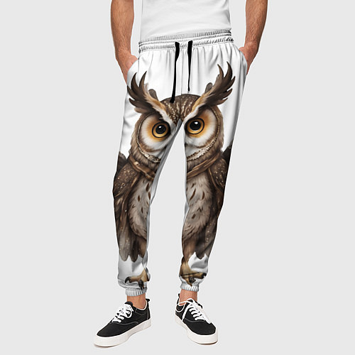 Мужские брюки Совушка с крыльями / 3D-принт – фото 3
