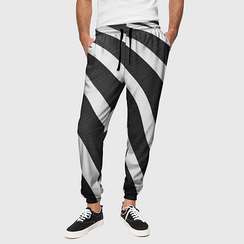Мужские брюки Зебровые линии / 3D-принт – фото 3