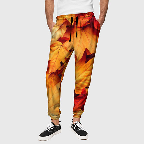 Мужские брюки Осенние кленовые листья / 3D-принт – фото 3