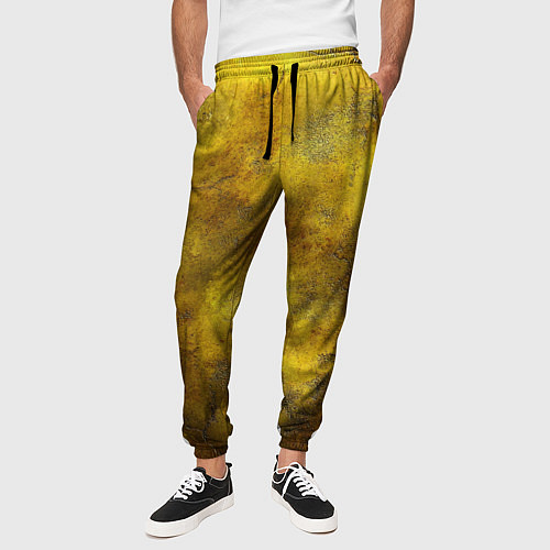 Мужские брюки Золотая ржавая текстура / 3D-принт – фото 3