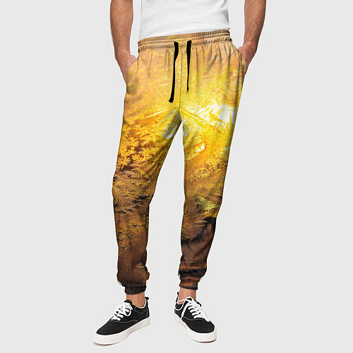Мужские брюки Зимний закат / 3D-принт – фото 3